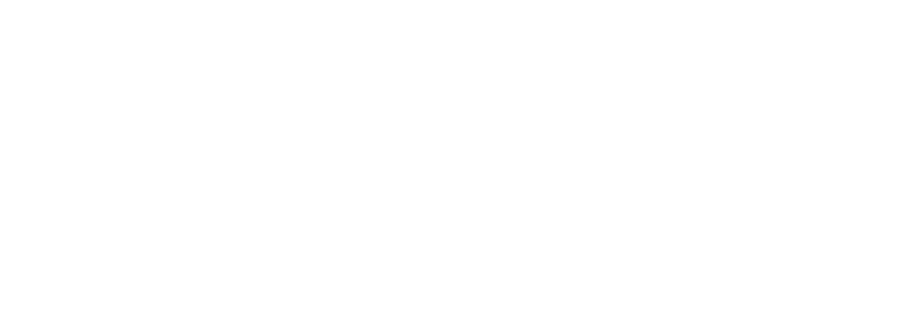 TROKA Logo